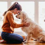 Study Says How Pets Improve Mental health and Boost Mood