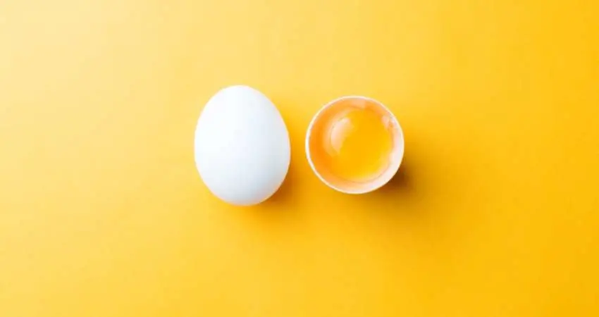 Eggs and Cholesterol, Separating Fact from Fiction for a Healthy Diet